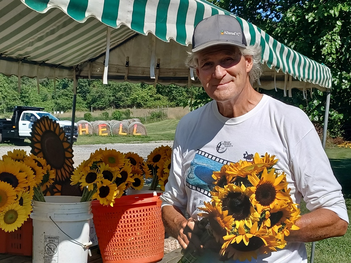Robert Lange with sunflowers at Sugartown Strawberries